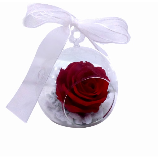 Glob cu trandafir criogenat, Ecuador, culoare rosu