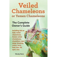 veiled chameleons or yemen chameleons as pets info on baby veiled chameleons female veiled chameleons chameleon cage setup breeding colors facts wendy davis author imagen 11_0_
0