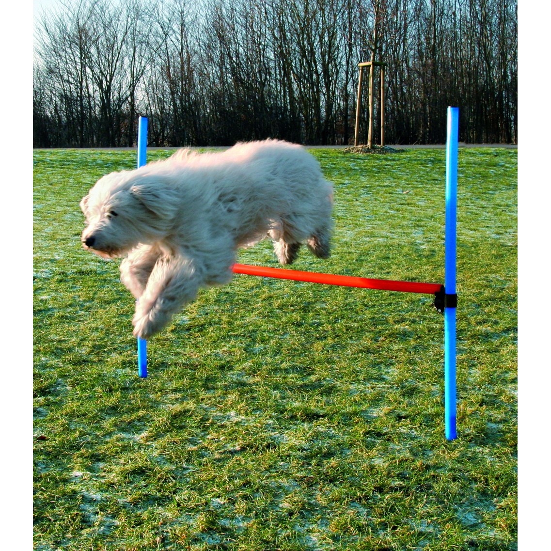Jucarie Trixie agility obstacol fier 129 x 115 x 3 cm 3207