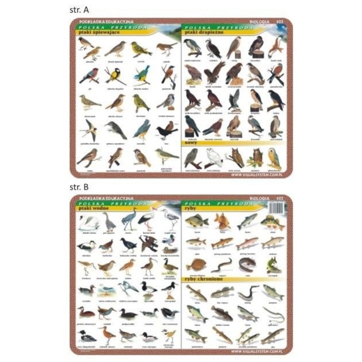 Set de 2 suporturi educationale, Visual System, pasari cantatoare, 40x30 cm