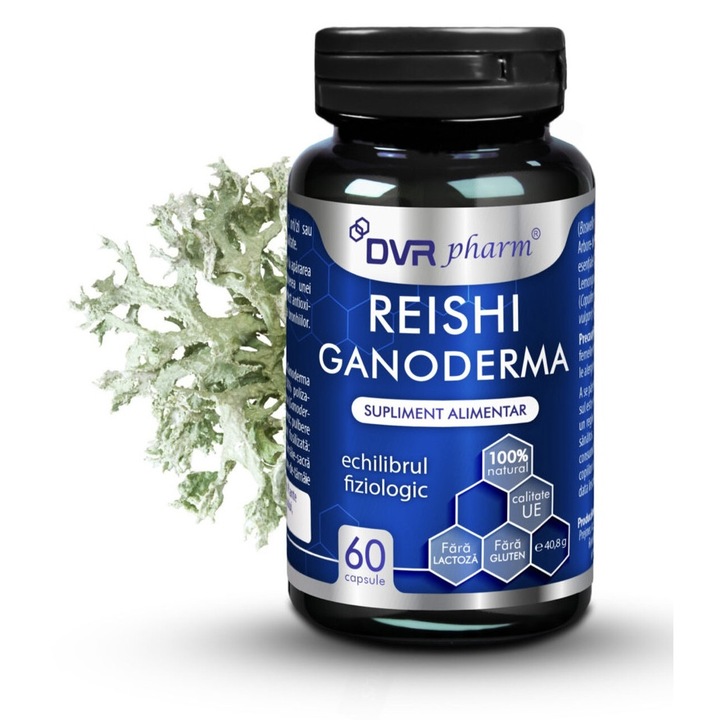 Supliment alimentar Ganoderma Reish Triterpene standardizat 30 capsule, DVRPharm