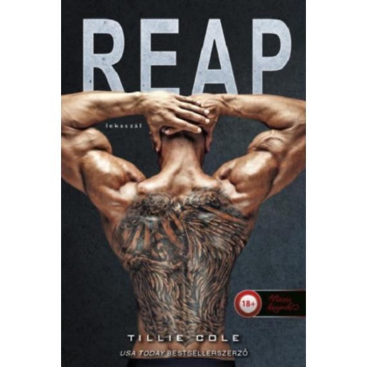 Reap - Lekaszál - Scarred Souls 2. - Tillie Cole