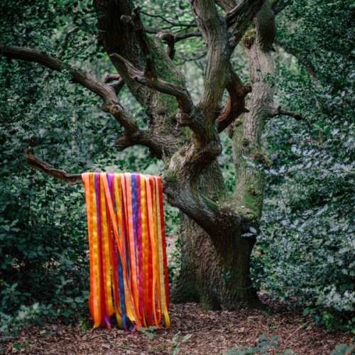 James Holden & The Animals - Animal Spirits (CD)