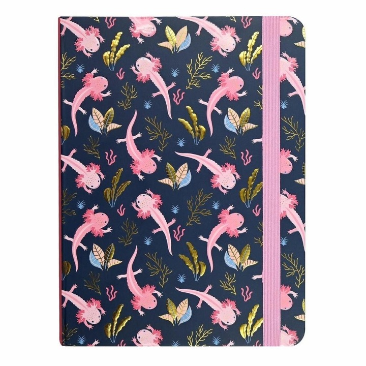 Agenda, Peter Pauper Press, coperta rigida, 160 pagini, 15,9x21cm