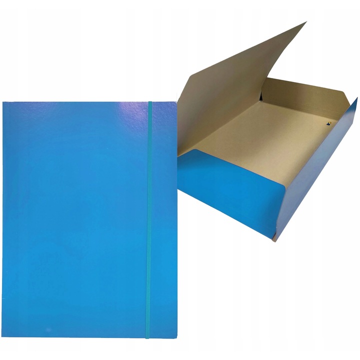 Dosar A4 Bantex, carton lacuit, albastru, 24x32cm, capacitate 200 foi