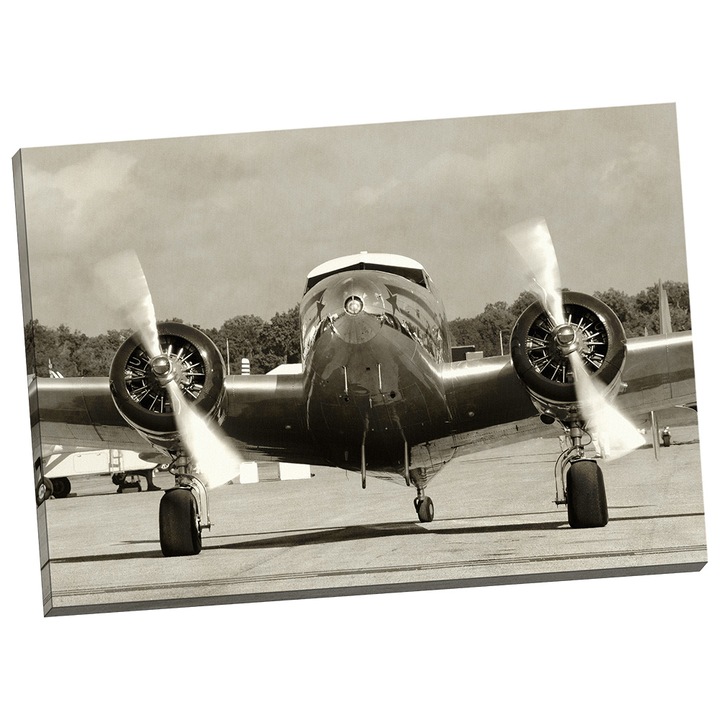 Tablou grand canvas "Avion Vintage" - 100 x 70 cm