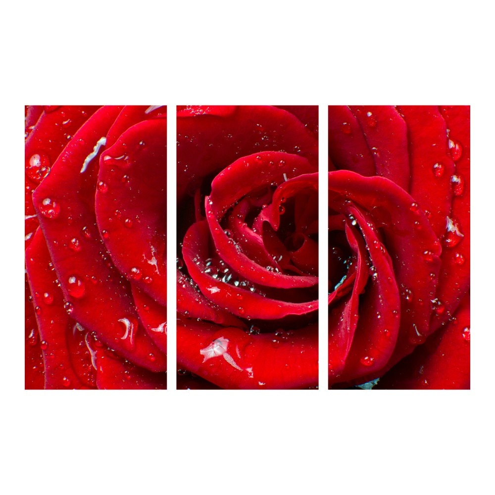 Set tablou multicanvas 