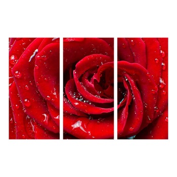 Set tablou multicanvas  Set tablou multicanvas