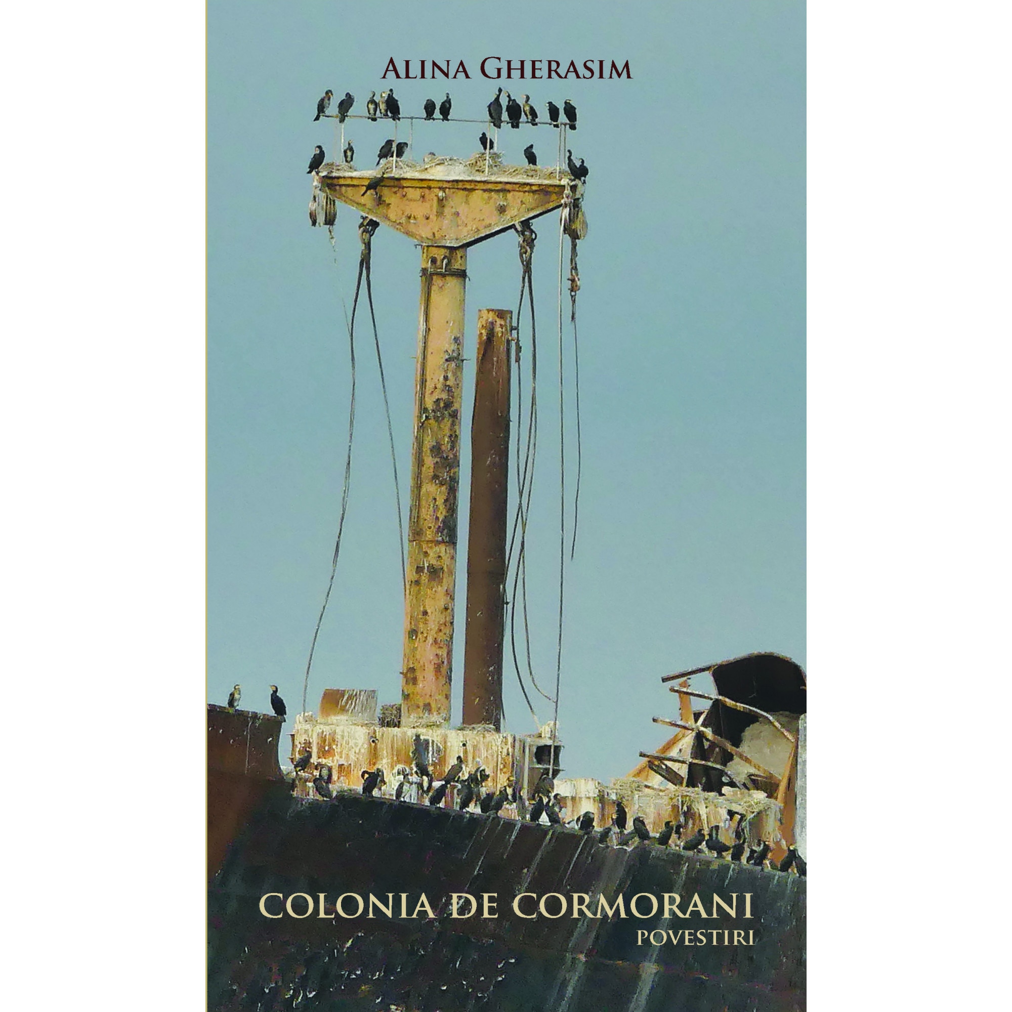 Colonia de cormorani - Alina Gherasim