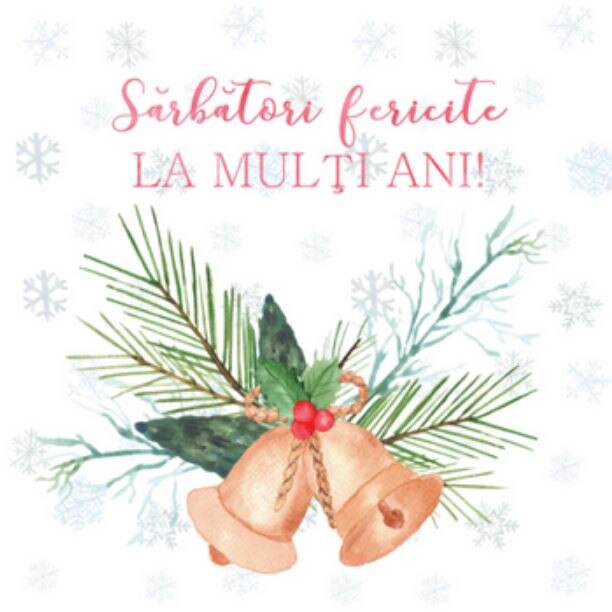 Felicitare - Conuri de brad si fulgi de nea