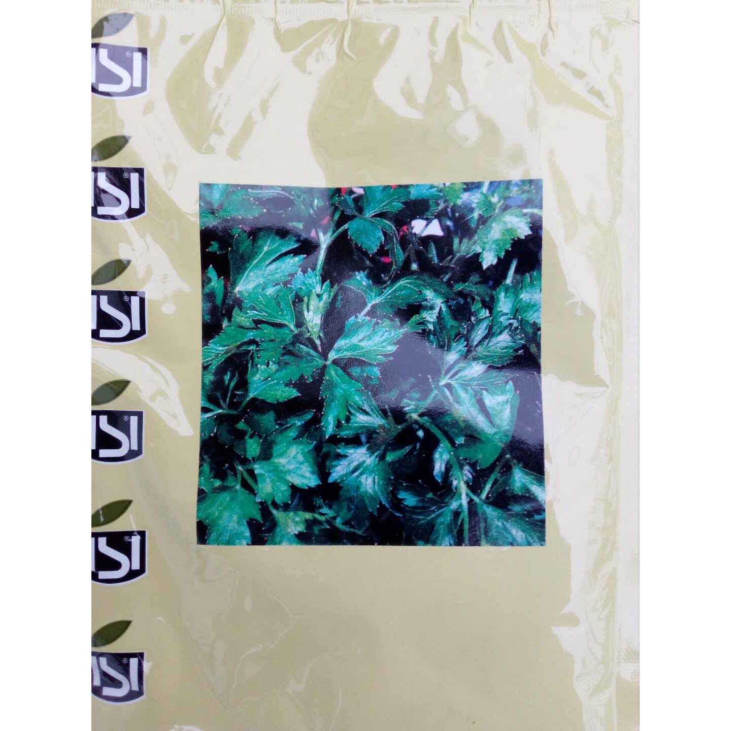 Seminte patrunjel frunze mari Gigante d'Italia - 100 Gr