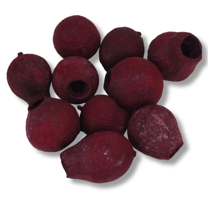 Евкалипт Bell Gum Бордо