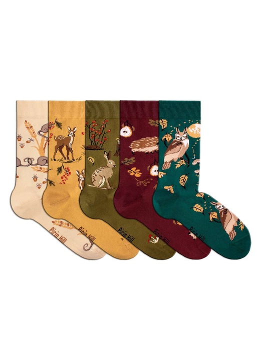 Cutie de lux cu 5 perechi sosete din bumbac Povesti de Toamna