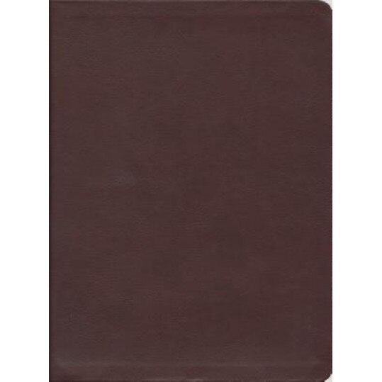 Message Bible-MS-Large Print Numbered, Eugene H. Peterson (Translator)