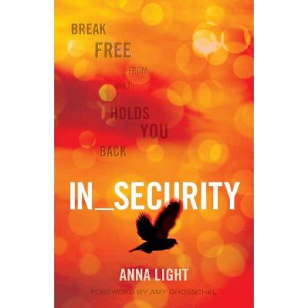 In_security: Break Free from What Holds You Back, Anna Light (Author)