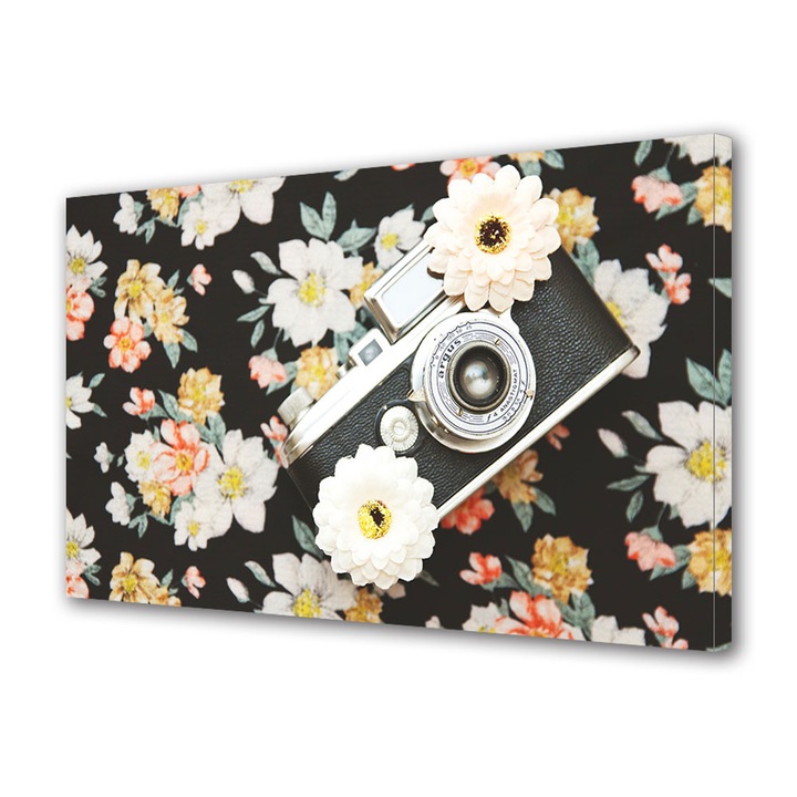 Tablou Canvas Vintage Aspect Retro Camera foto si flori retro 20 x 30 cm