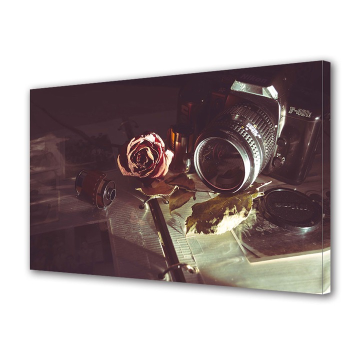 Tablou Canvas Vintage Aspect Retro Camera vintage film 20 x 30 cm