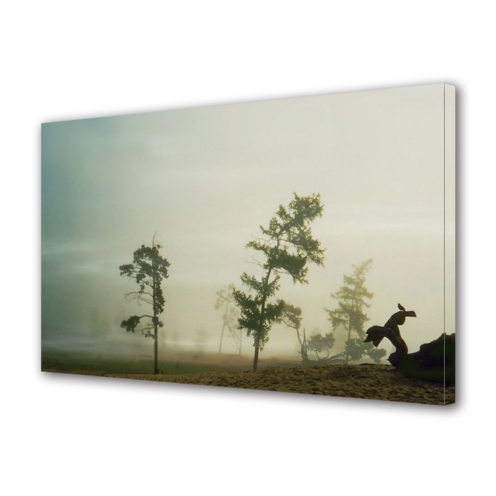 Tablou Canvas Vintage Aspect Retro Copaci dupa furtuna 20 x 30 cm