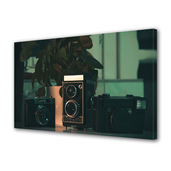 Tablou Canvas Vintage Aspect Retro Camere foto film 20 x 30 cm