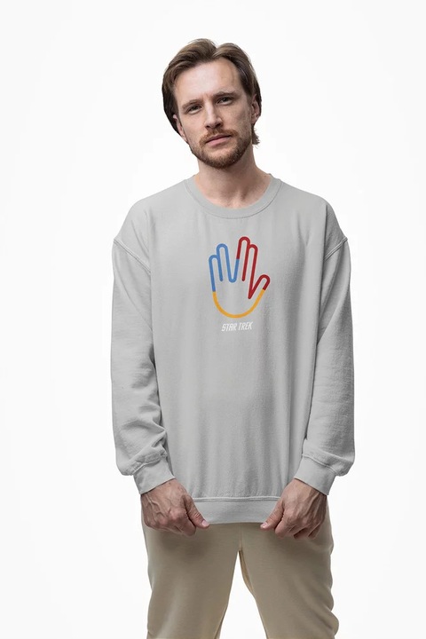 SWMO00066 Star Trek, Világosszürke