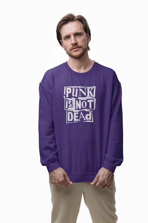 SWZN00004 Punk, Lila