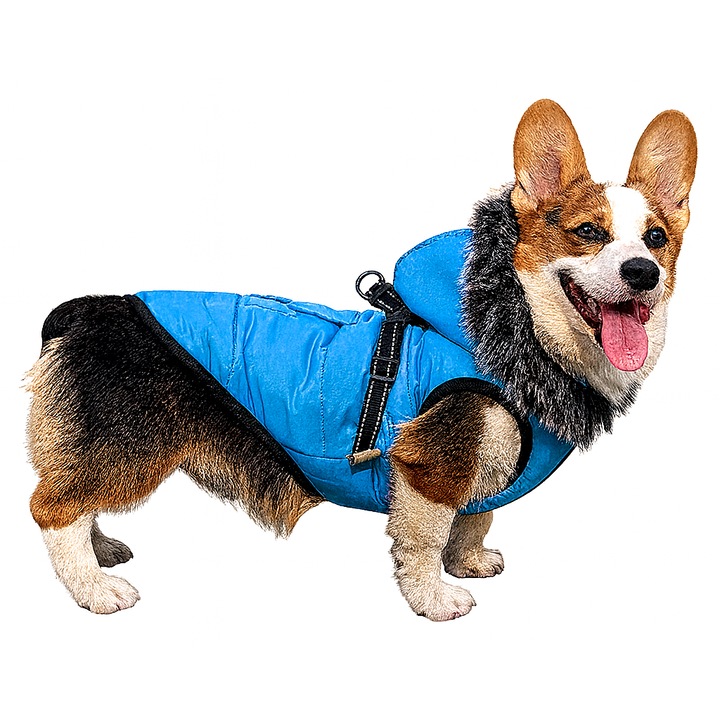 Pet & More Haină de iarnă impermeabilă pentru câini cu căptușeală fleece și bandă reflectorizantă – albastru, mărimea S