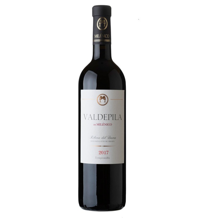 Vin roșu Valdepila, Tempranillo, sec, 14.5%, 0.75L