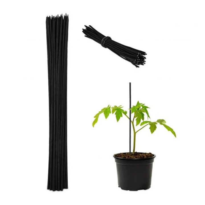 Set de 50 bete de bambus pentru plante, Northio, negru, 30, 5x4, 5cm