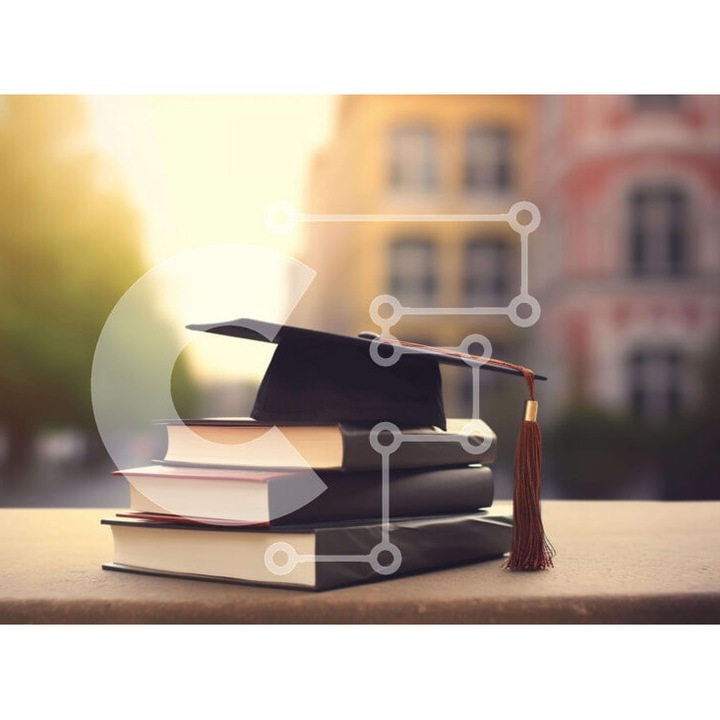 Puzzle din lemn Intrahome, 25 piese, imagine cu o biblioteca, dimensiuni 10x10 cm, cutie din lemn wenge.