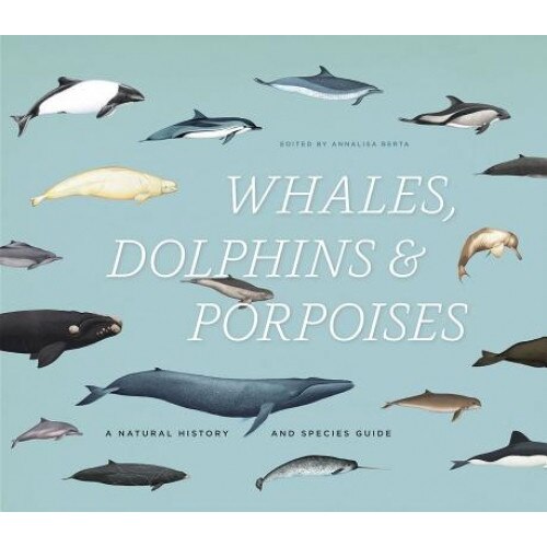 Whales, Dolphins & Porpoises: A Natural History and Species Guide, Annalisa Berta (Author)
