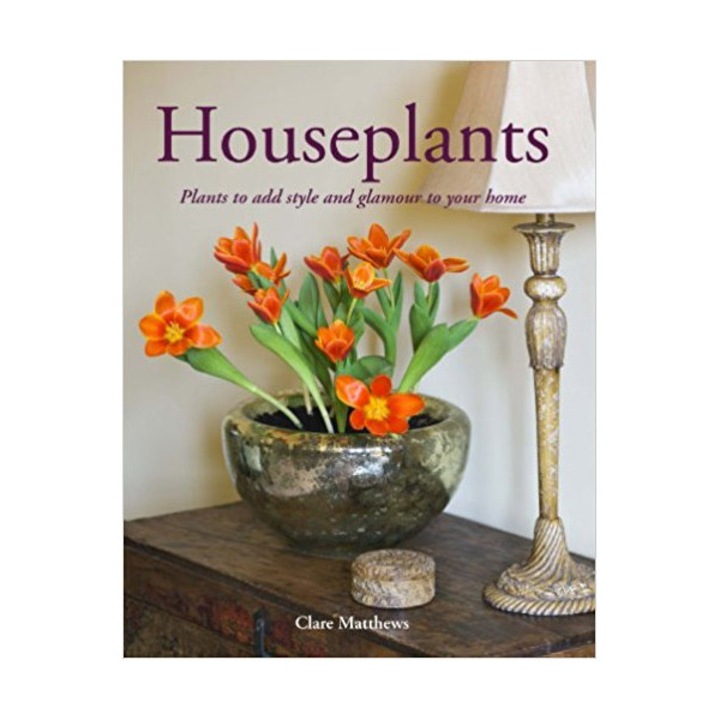 Houseplants: Plants to Add Style and Glamour to Your Home - Matthews Clare