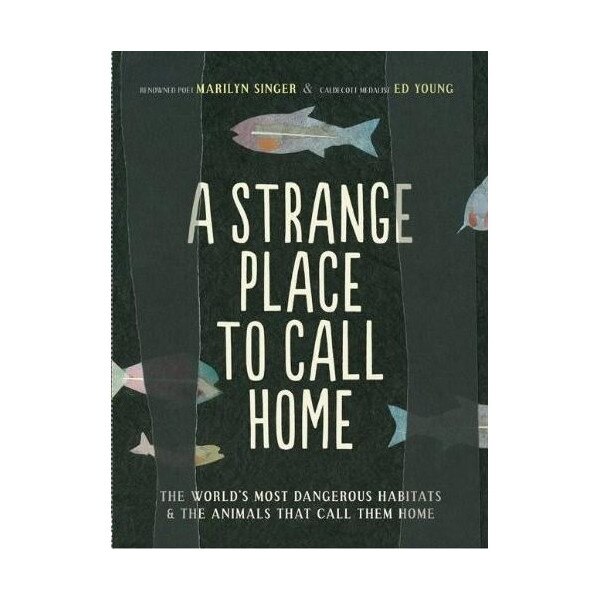 A Strange Place to Call Home - Marilyn Singer