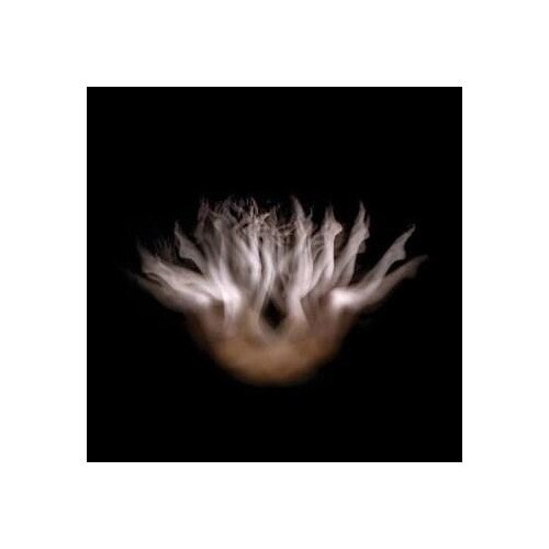 A Thousand Rainbows - Lia Chavez