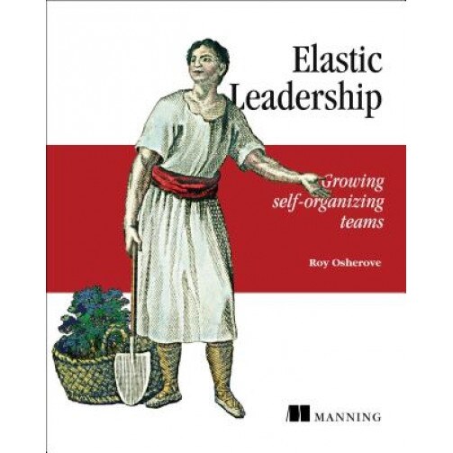 Elastic Leadership: Growing Self-Organizing Teams - Roy Osherove (Author)