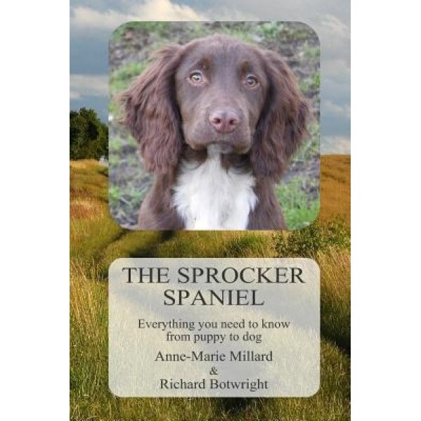 The Sprocker Spaniel: Everything You Need to Know from Puppy to Dog, Anne-Marie Millard (Author)