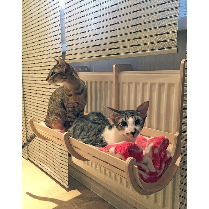 Ansamblu de joaca animale, Intrahome, plywood 3mm-4mm, 30x30cm, multicolor