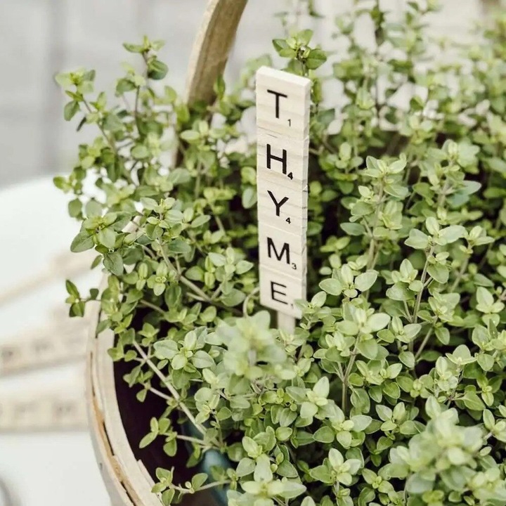 Pavaje din plywood, Intrahome, 3mm-4mm, 20x20cm, set