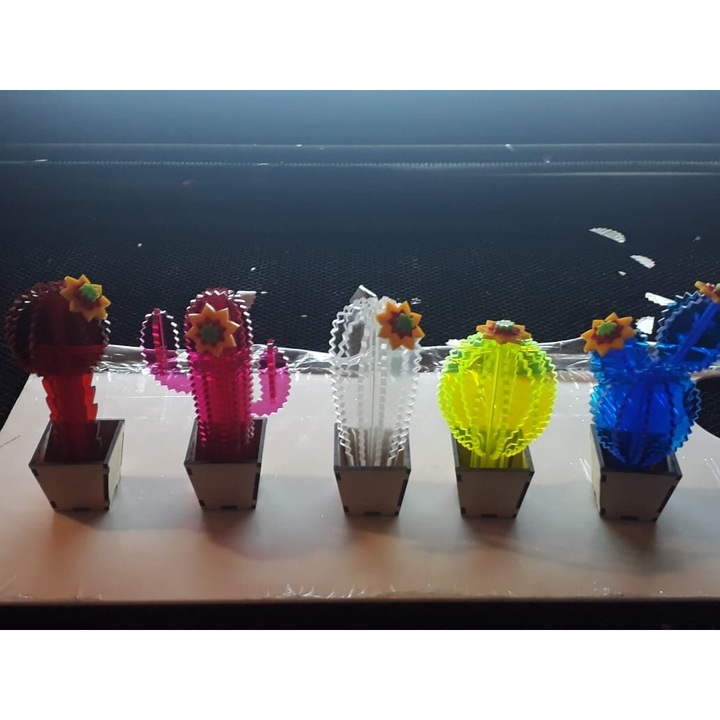 Accesorii decorative, Intrahome, Mini Kaktusy 3D, 3mm-4mm, 20x20cm, set