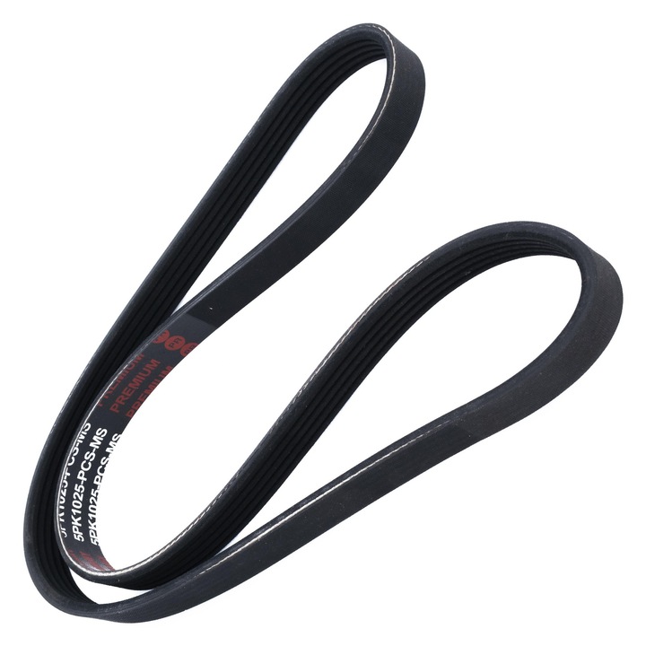 Hajtószíj, Master Sport Germany, 5PK1025, 1025mm, 5 bordás