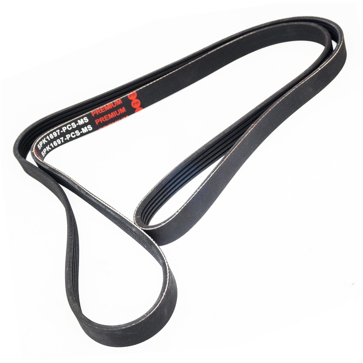 Hajtószíj, Master-Sport 5PK1697, 1697mm, Hyundai Terracan 2.9 CRDi 4WD-hez