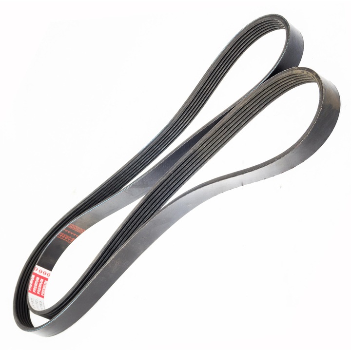 Szíj, 6PK1905, Master Sport Germany, 1905mm, 6 horony