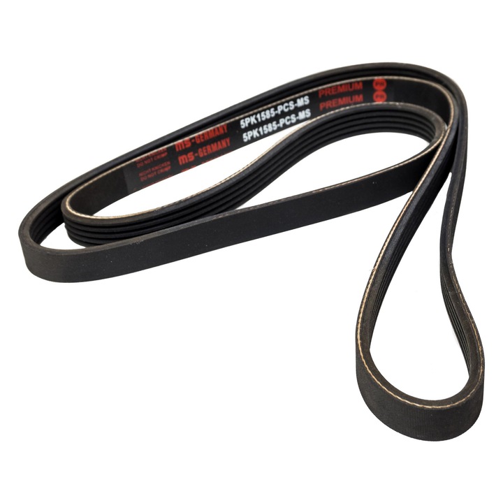 Master-Sport vezérműszíj, 1585mm, 5 bordás, Fiat Brava/Bravo, Lancia Y