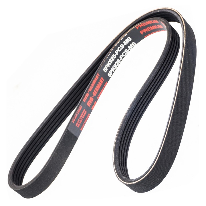 Hajtószíj, Master-Sport 5PK925, 925mm, 5 borda