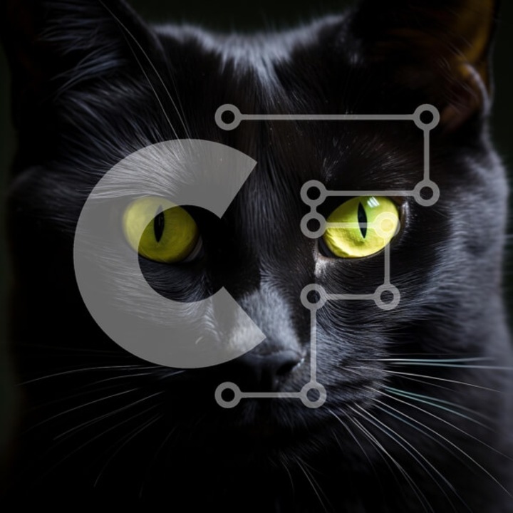 Puzzle Intrahome, 10x10 cm, 25 piese, imagine pisica neagra cu ochi galbeni, cutie din lemn wenge