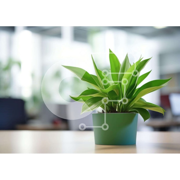 Puzzle din lemn Intrahome, planta verde pe masa, 10x10 cm, 25 piese, cutie din lemn wenge.