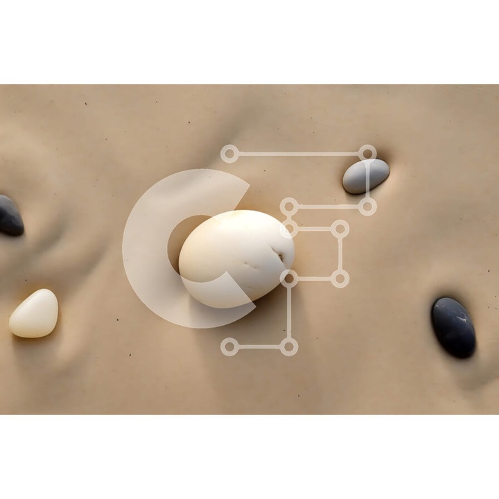 Puzzle din lemn Intrahome, 25 piese, imagine cu un alb cu ochi pe plaja, cutie din lemn, 10x10 cm