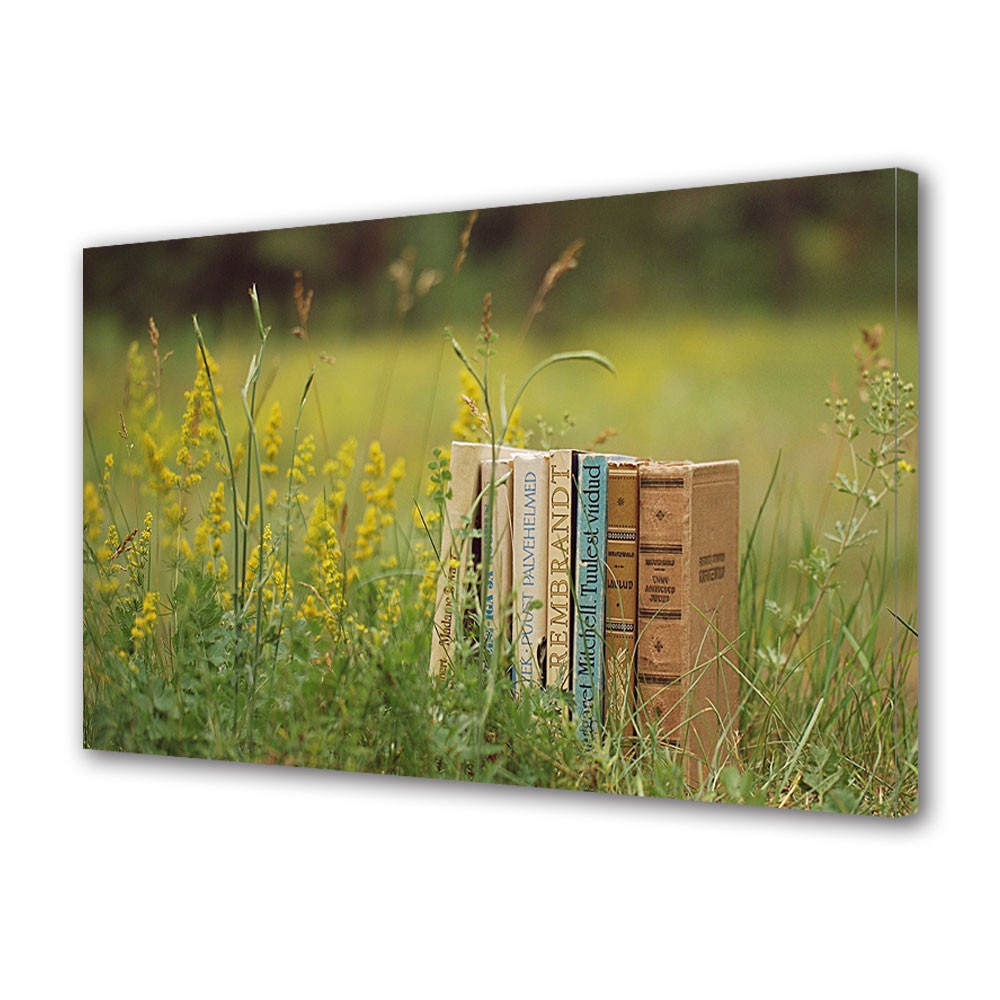 Tablou Canvas Vintage Aspect Retro Lectura in iarba 50 x 70 cm