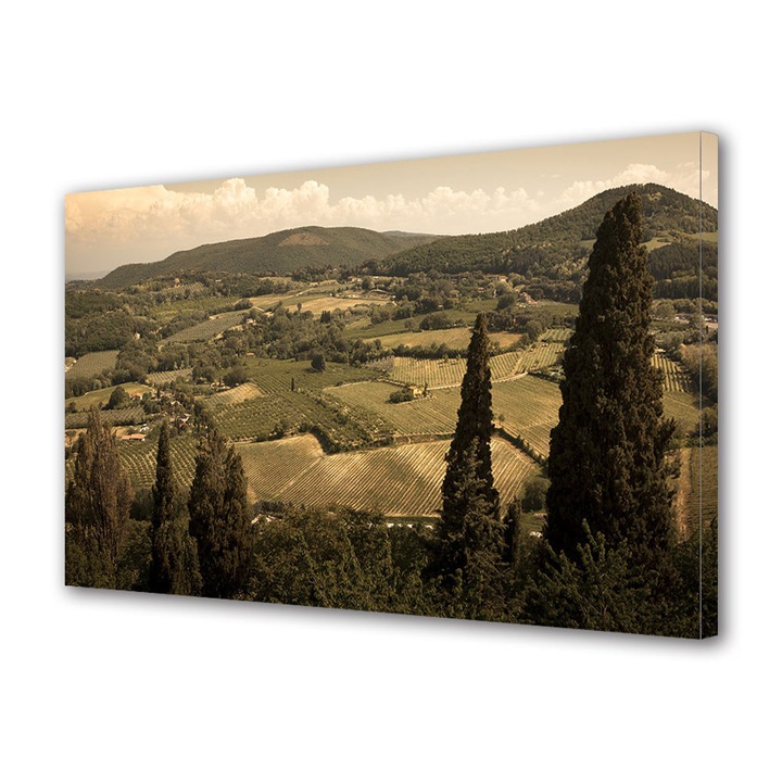 Tablou Canvas Vintage Aspect Retro Dealurile Toscanei 50 x 70 cm