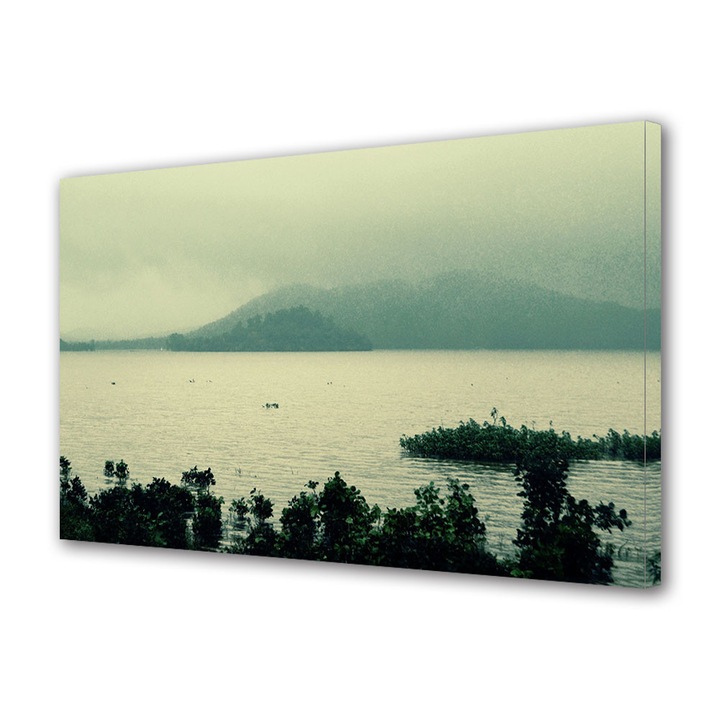 Tablou Canvas Vintage Aspect Retro Vegetatie pe lac 70 x 100 cm
