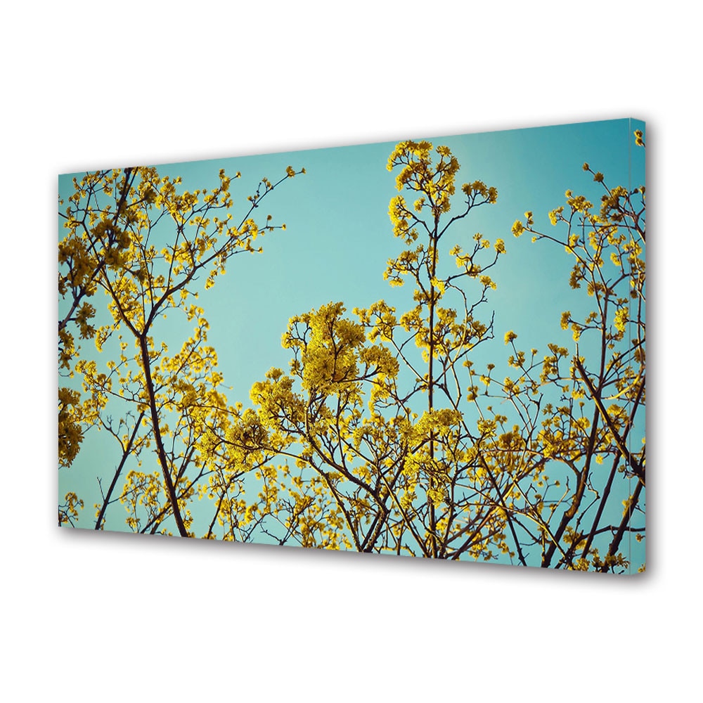 Tablou Canvas Vintage Aspect Retro Copac japonez inflorit 70 x 100 cm